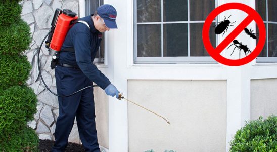 Kovancılar Tahtakurusu İlaçlama böcek ilaçlama ve haşere kontrolü — ilaclama-tr.com